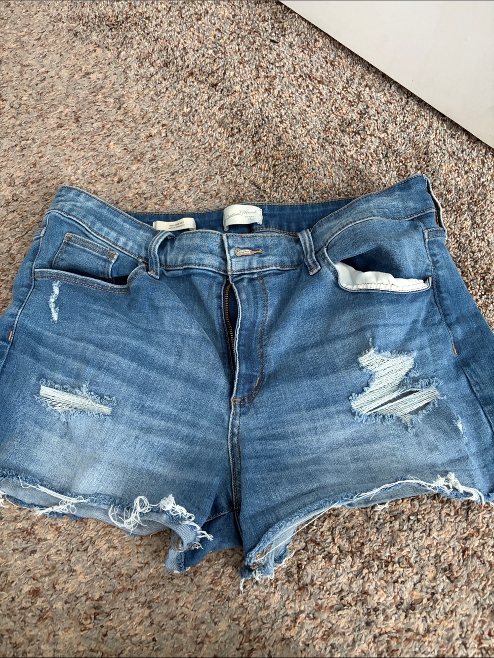 Universal Thread Light Blue Distressed Denim Shorts